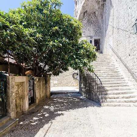 Dominium Old Apartment *
